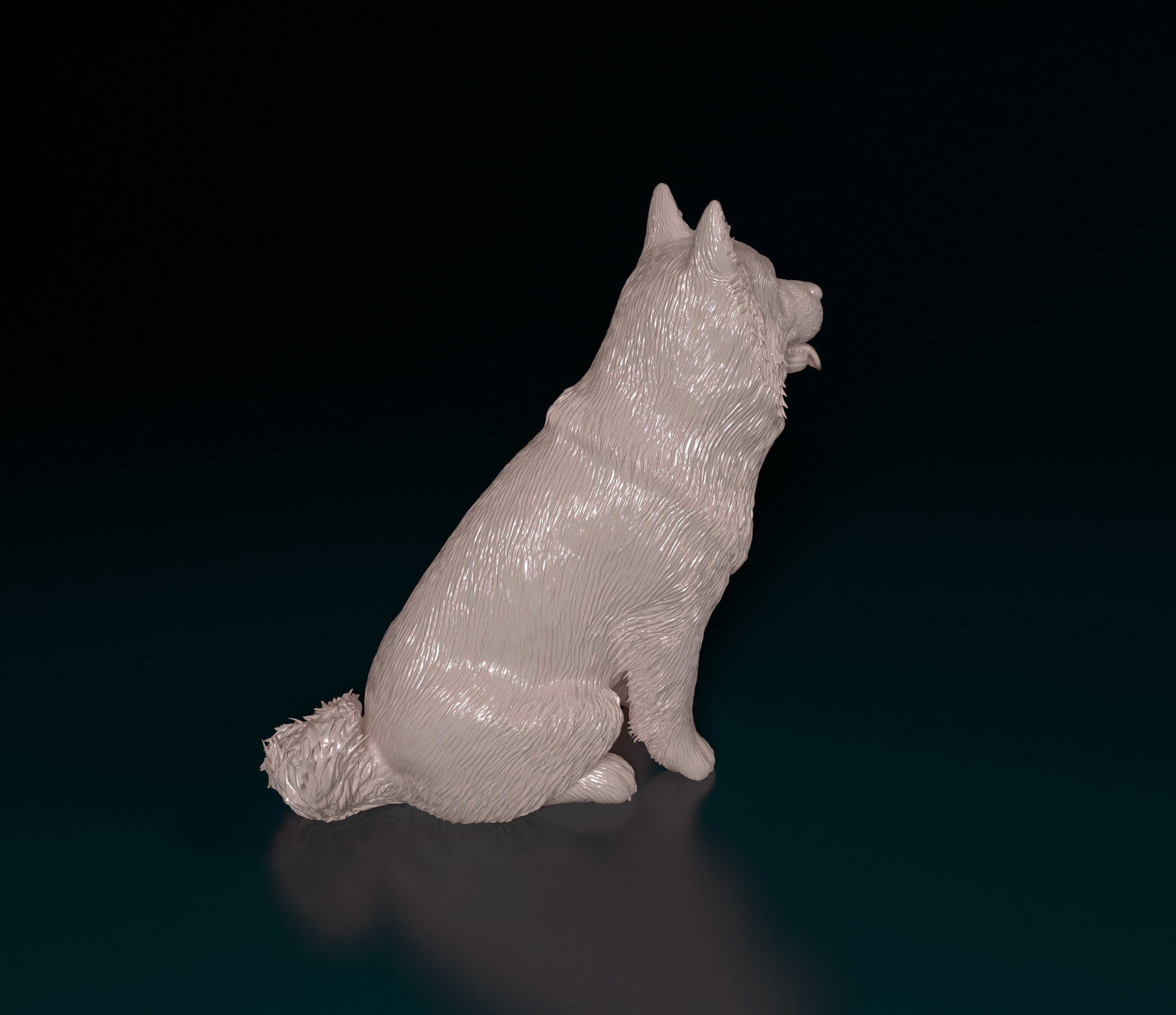 Chow-chow dog 3D print model_6