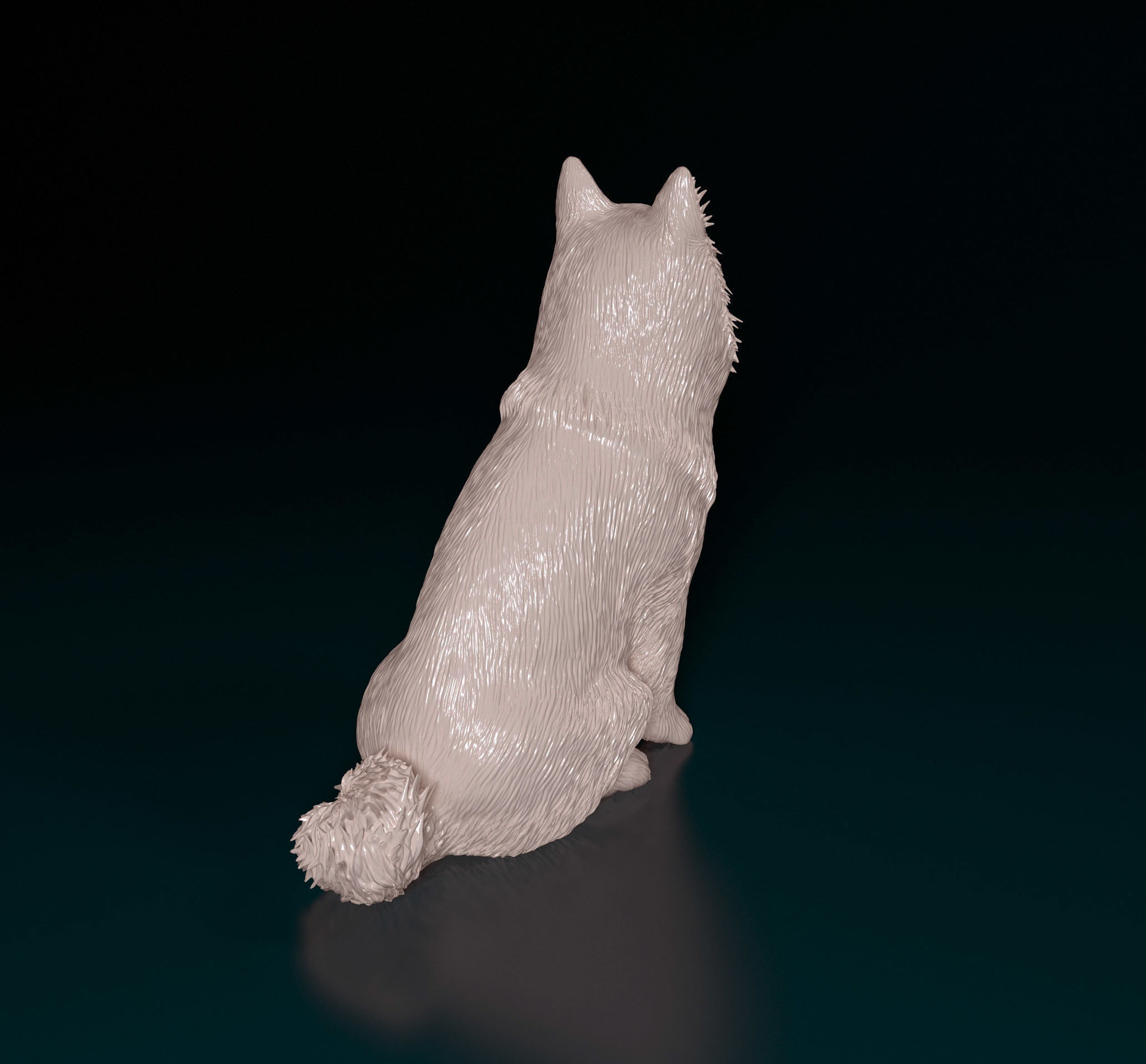 Chow-chow dog 3D print model_4