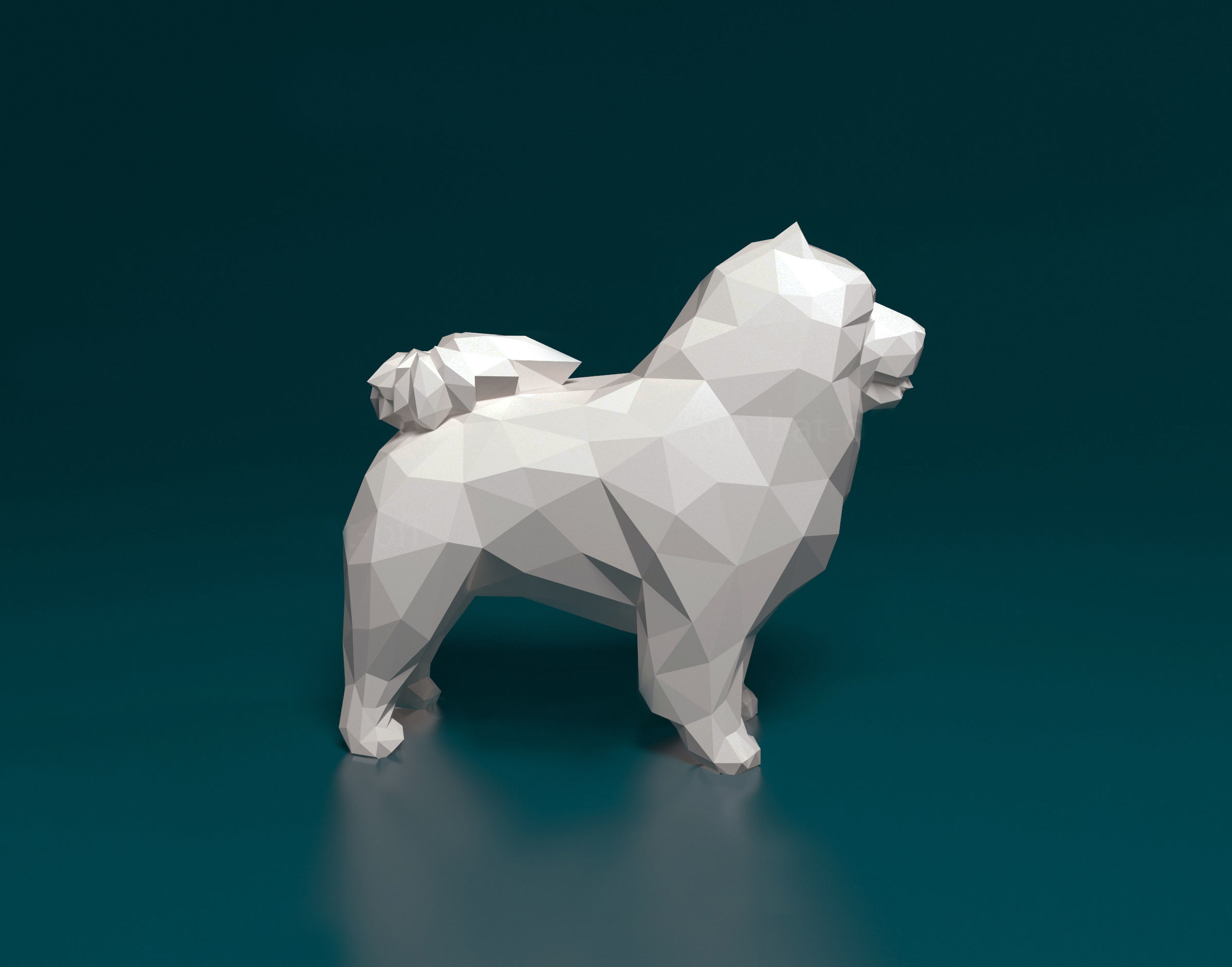 Chow-chow polygonal 3D print model_1