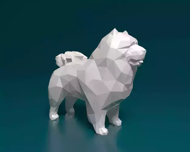 Chow-chow polygonal
