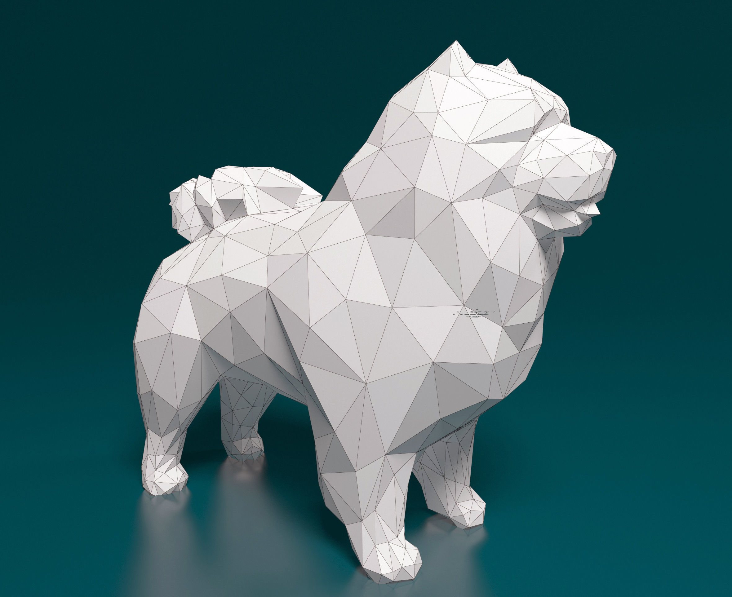 Chow-chow polygonal 3D print model_6