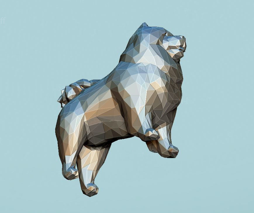 Chow-chow polygonal 3D print model_5