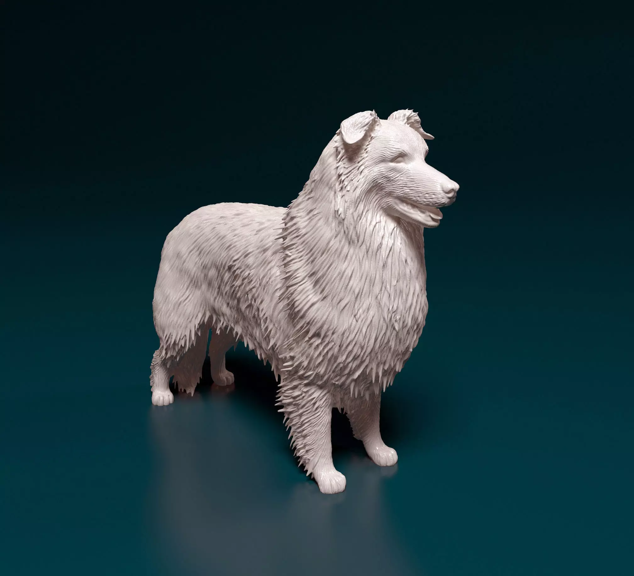Collie dog 3D print model_0