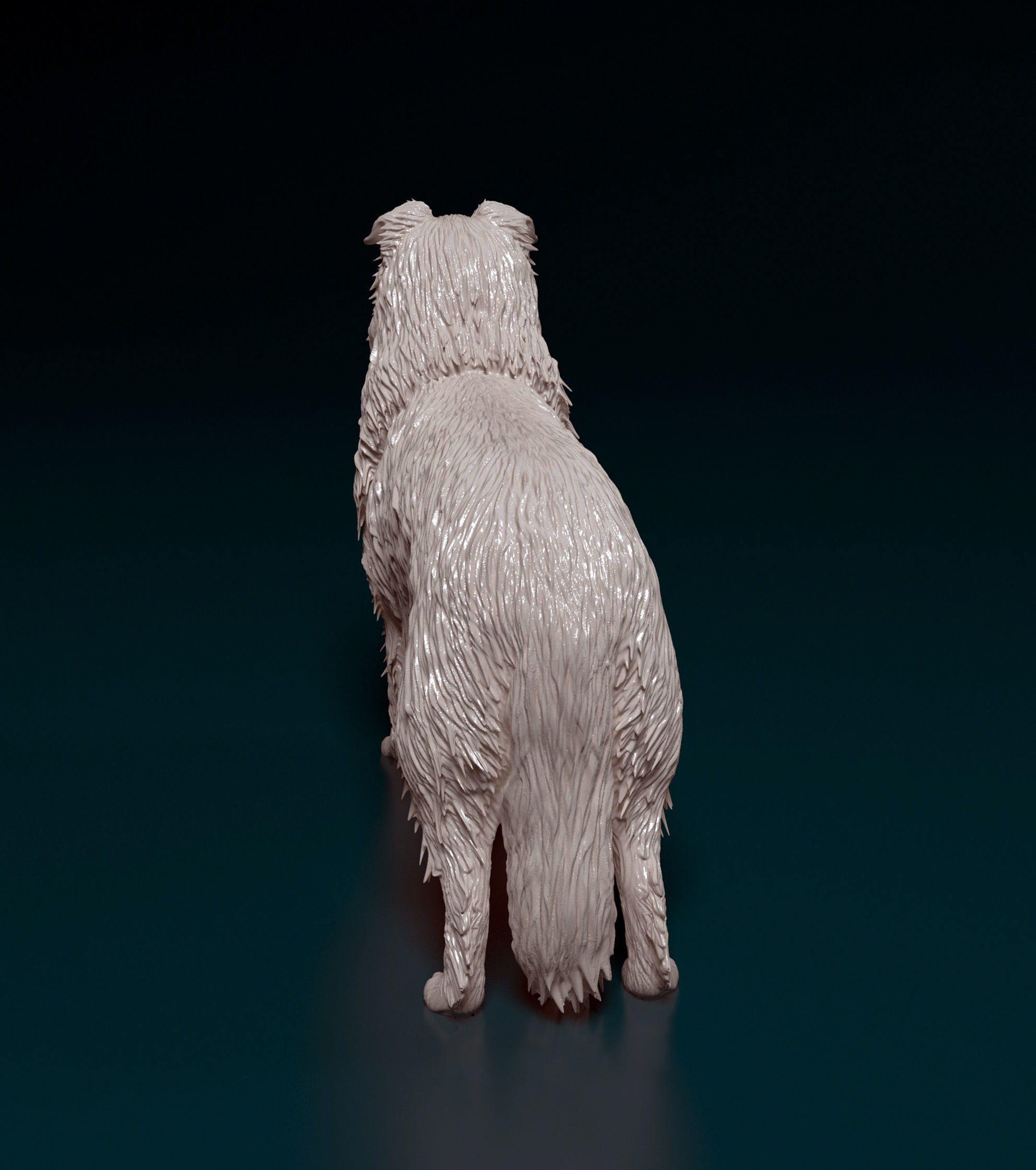 Collie dog 3D print model_3