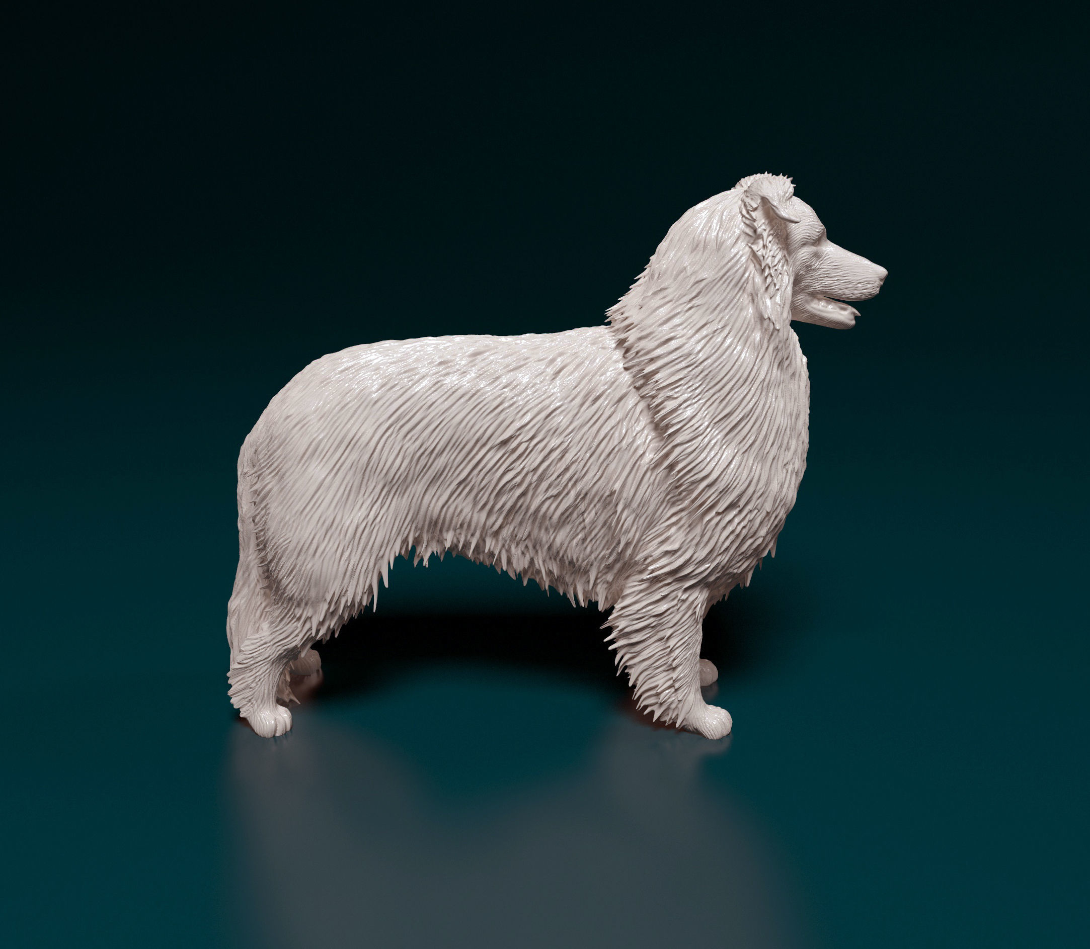 Collie dog 3D print model_1