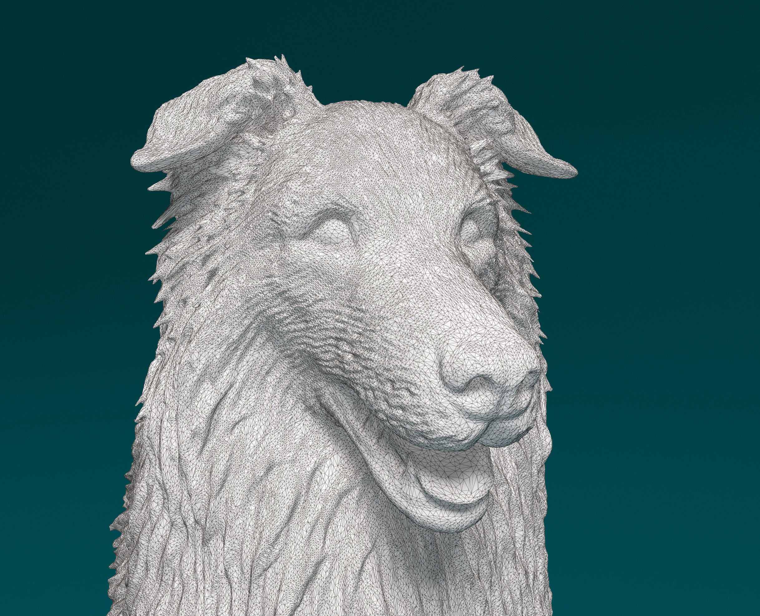 Collie dog 3D print model_7