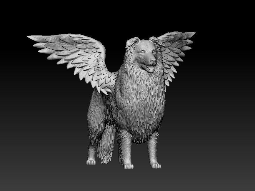 Collie dog 3D print model_4