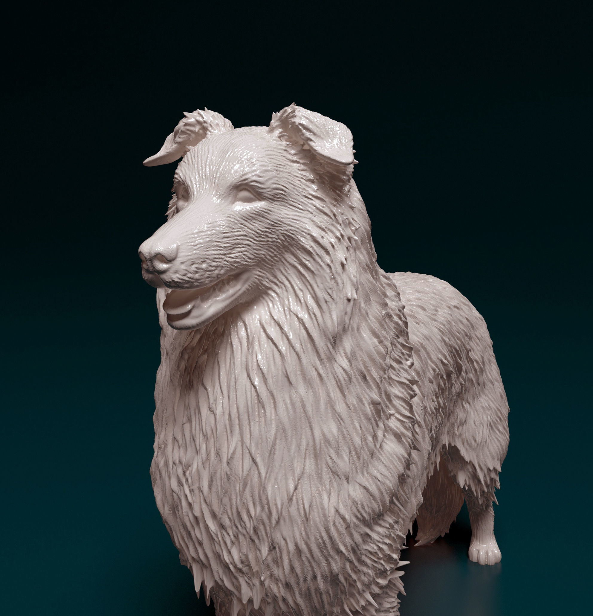 Collie dog 3D print model_6