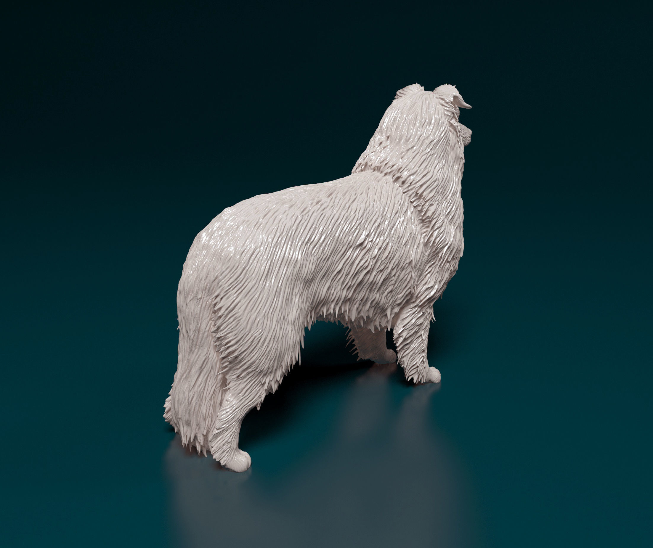 Collie dog 3D print model_2