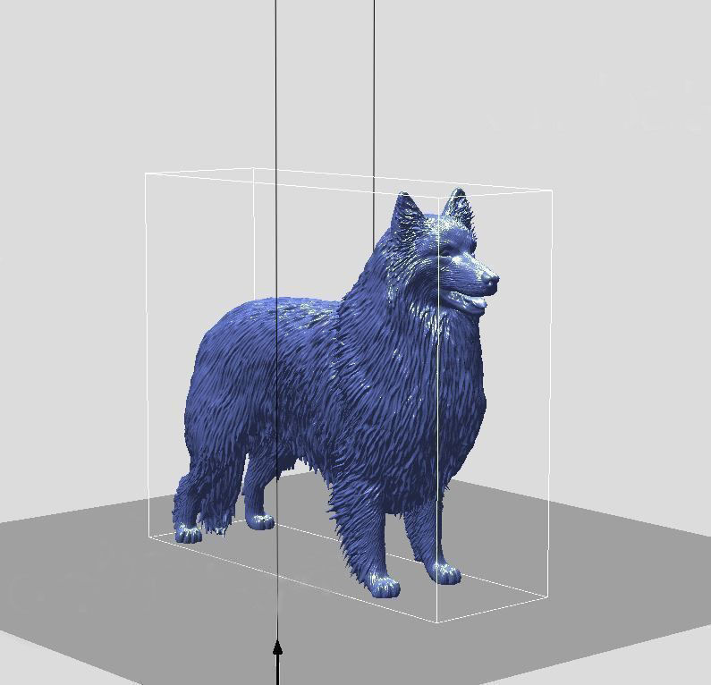 Collie dog 3D print model_8