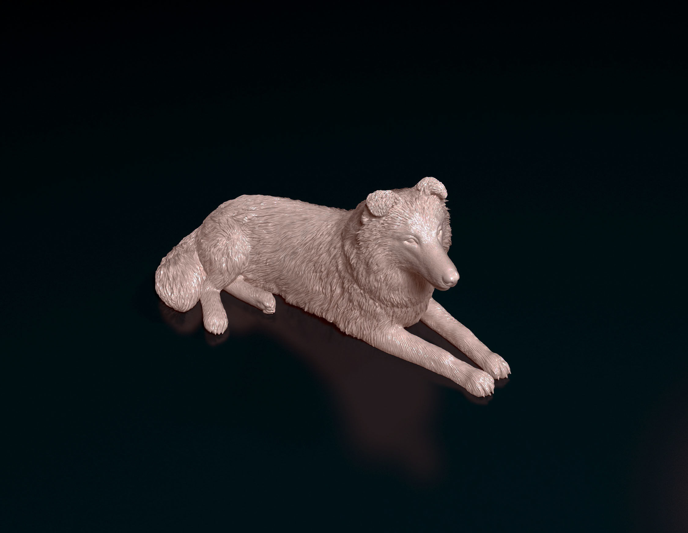 Collie dog 3D print model_1