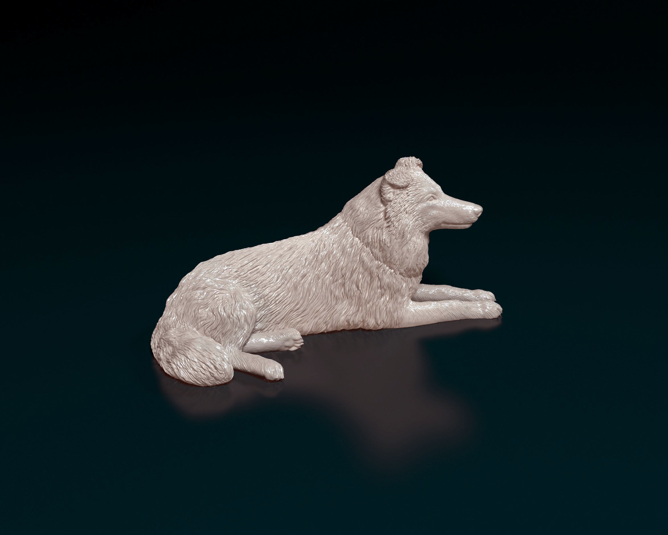 Collie dog 3D print model_3