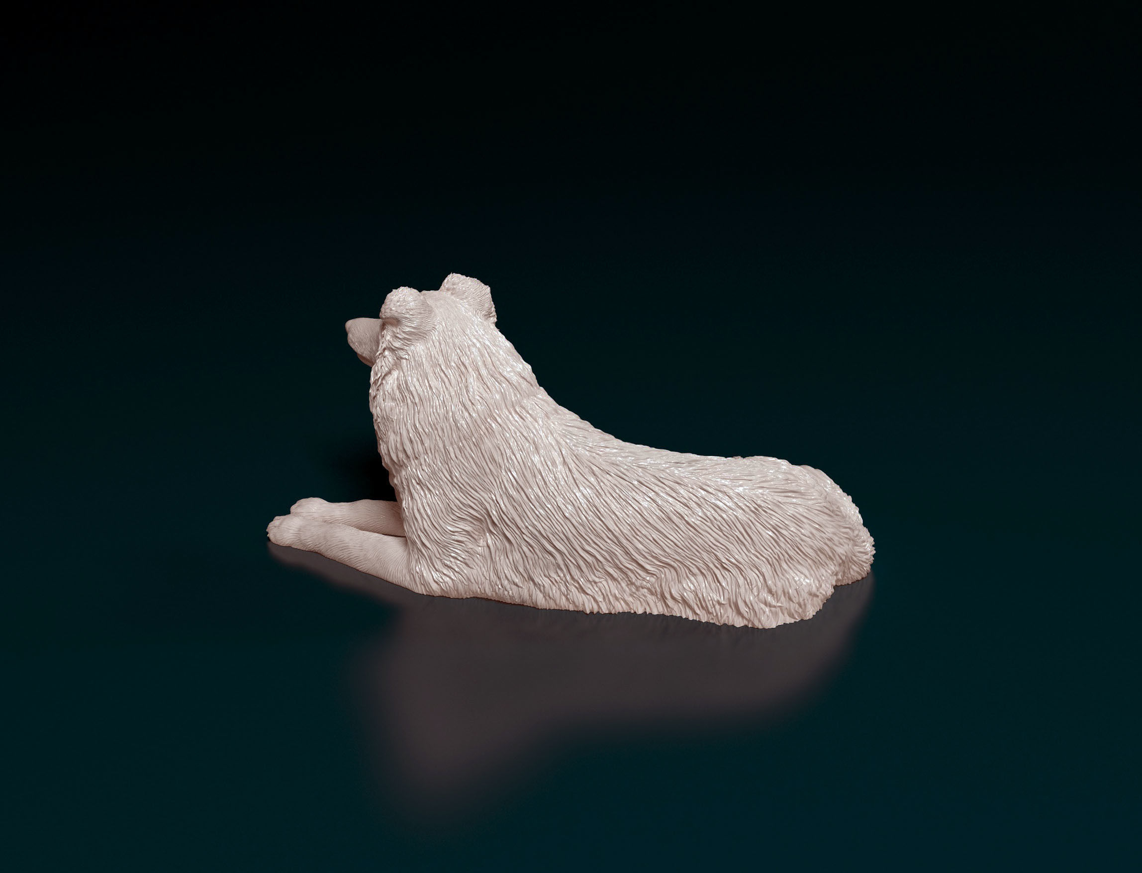Collie dog 3D print model_5