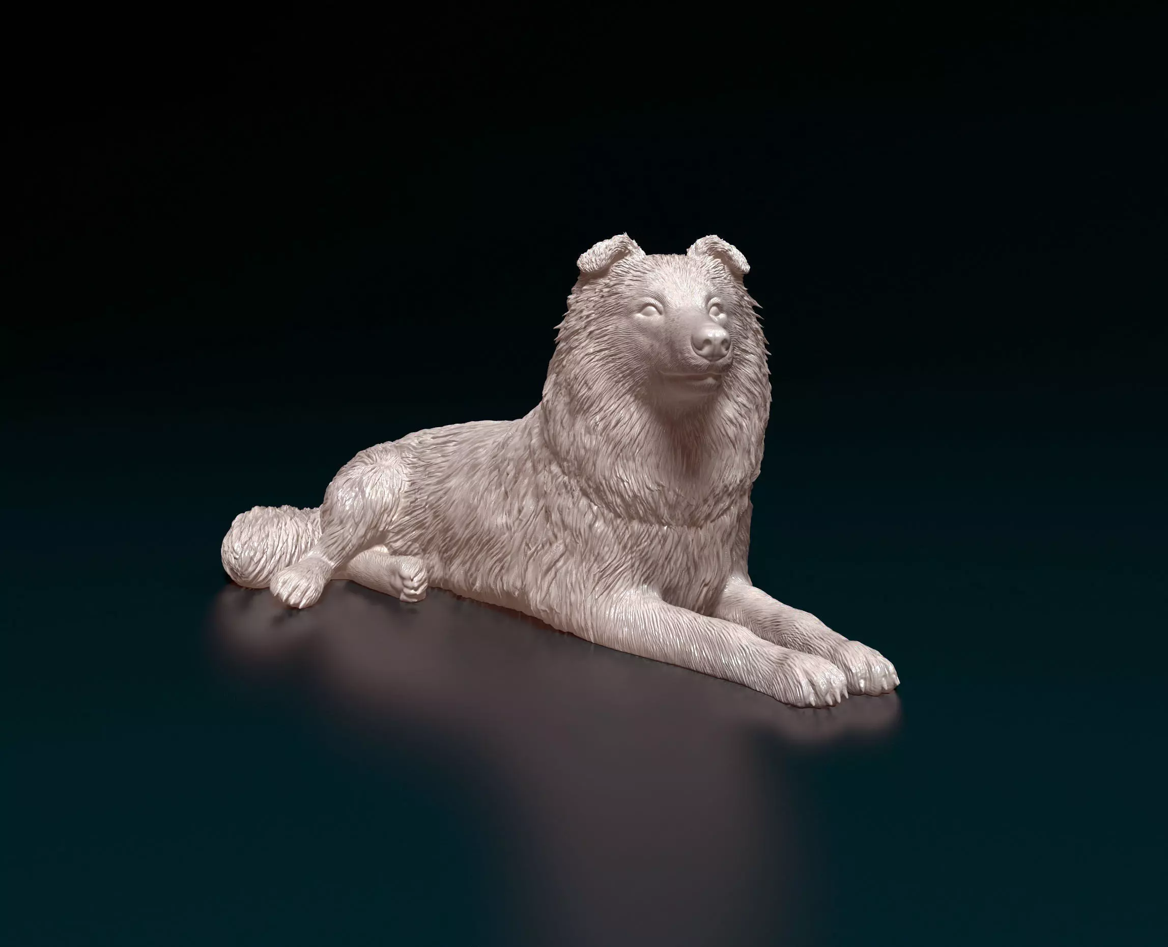 Collie dog 3D print model_0
