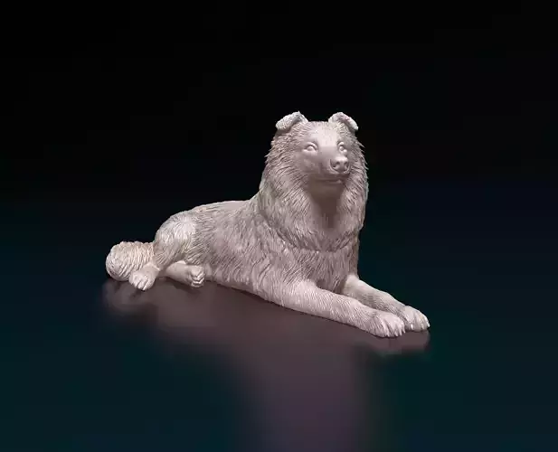 Collie dog 3D print model