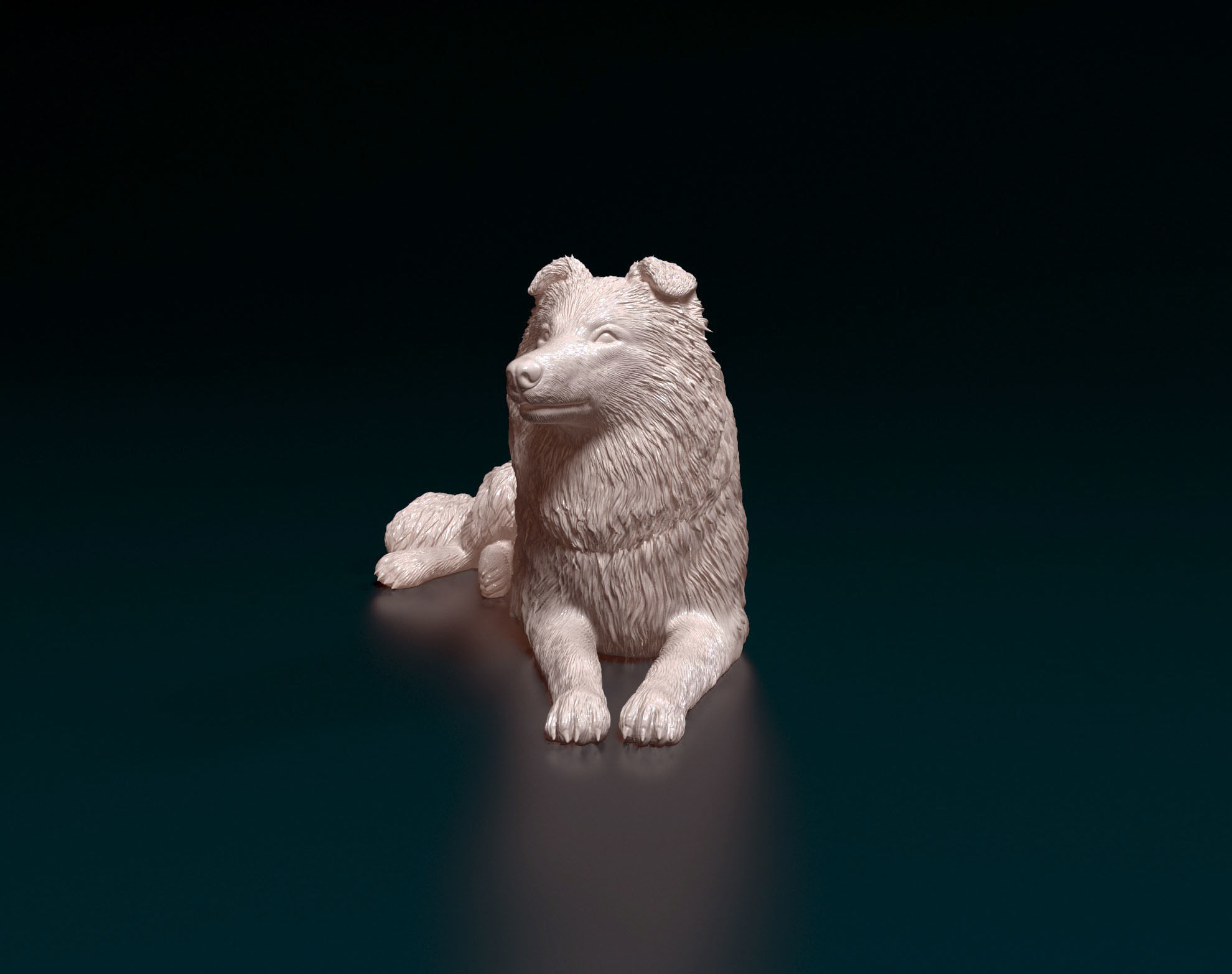Collie dog 3D print model_2