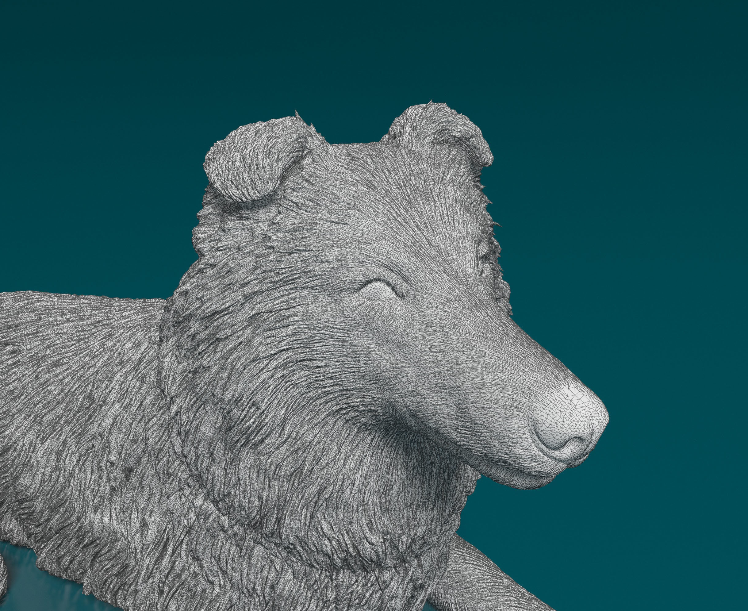 Collie dog 3D print model_6