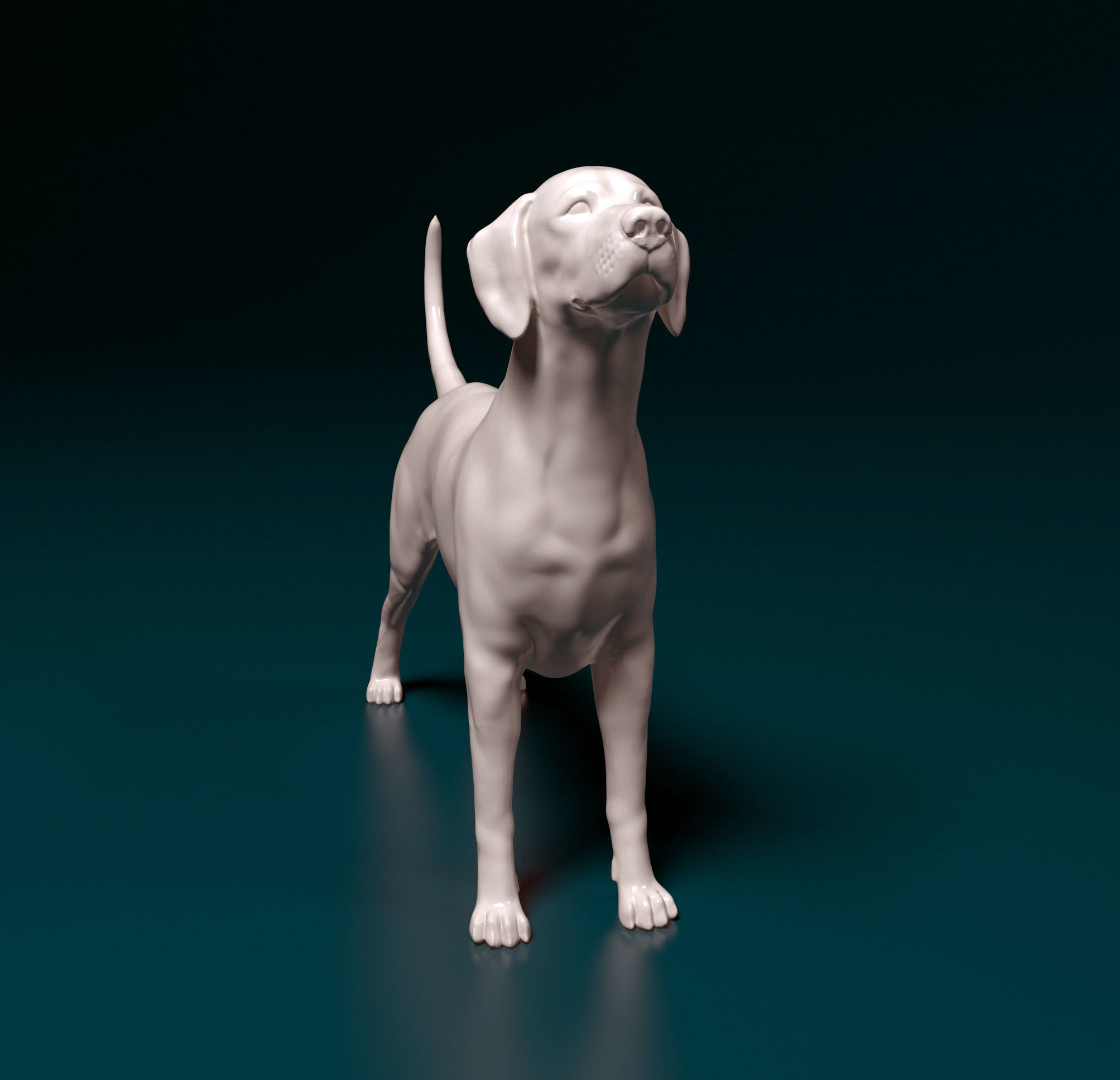 Dalmatian dog 3D print model_5