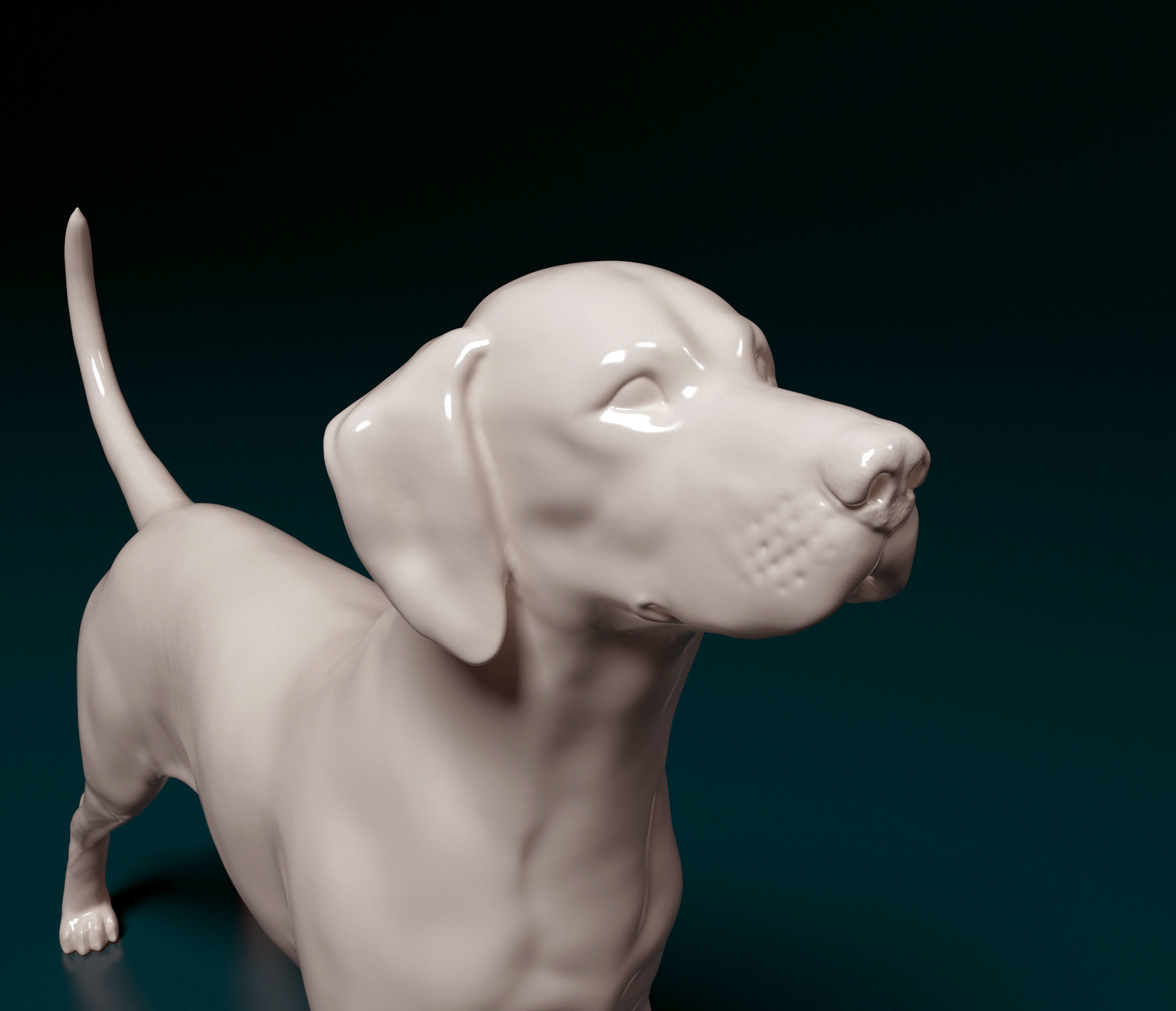Dalmatian dog 3D print model_6