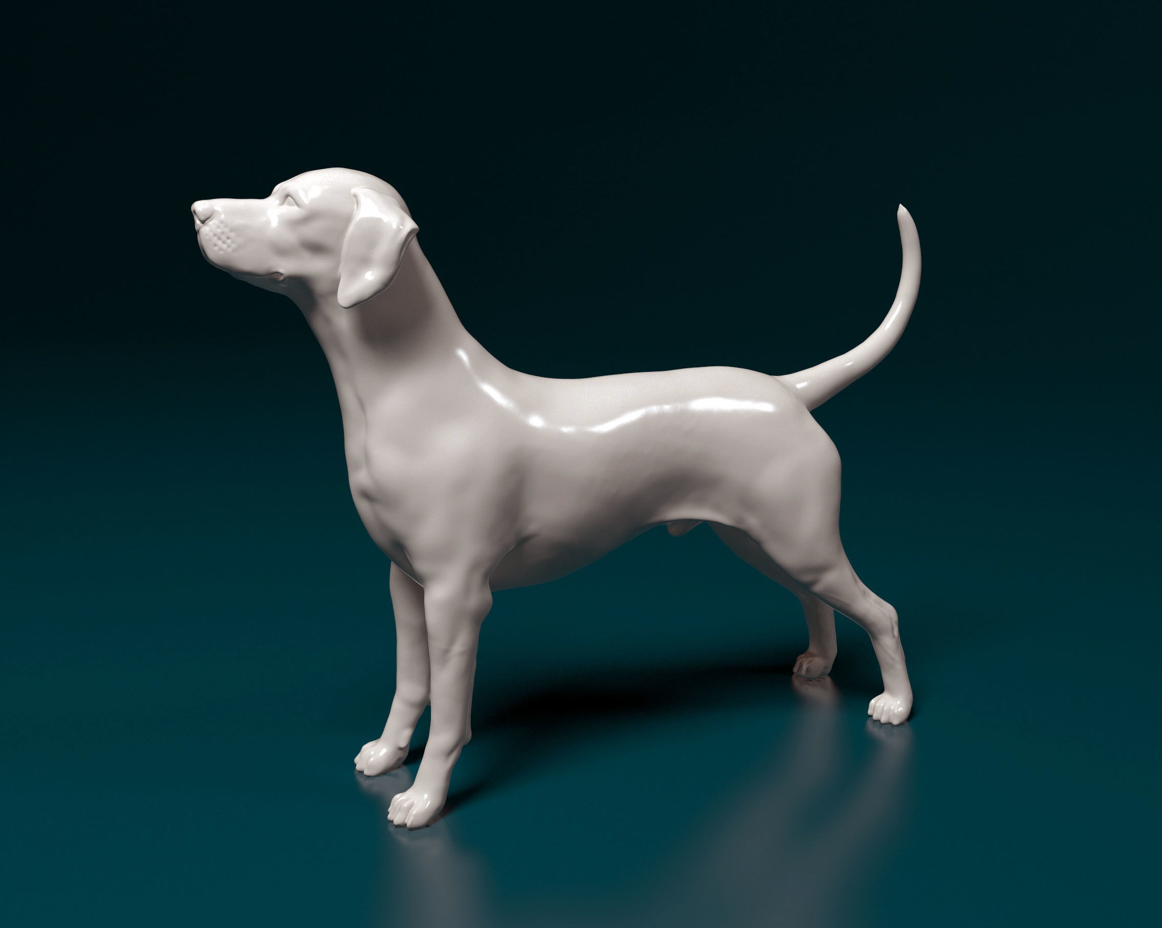 Dalmatian dog 3D print model_4
