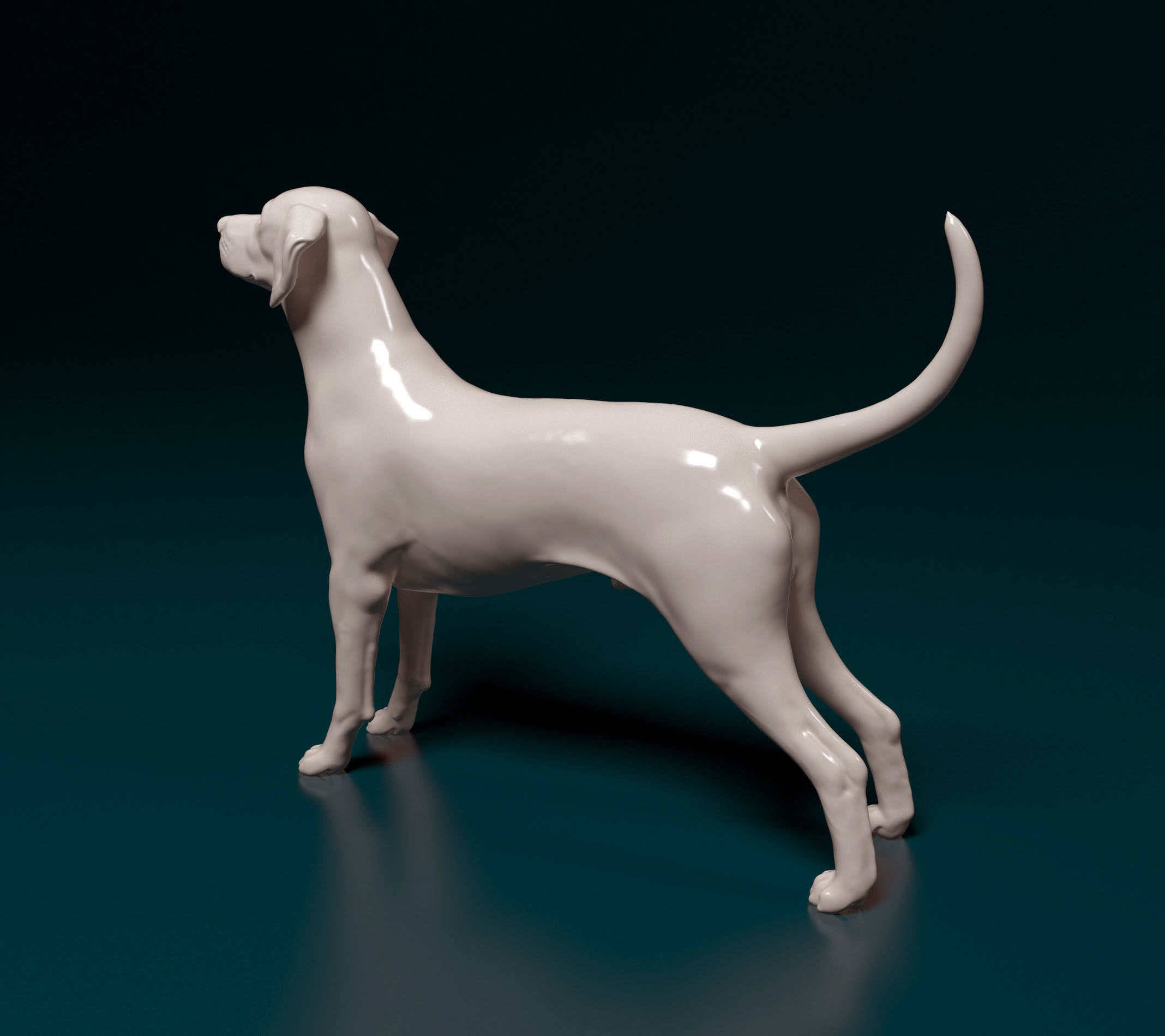 Dalmatian dog 3D print model_3