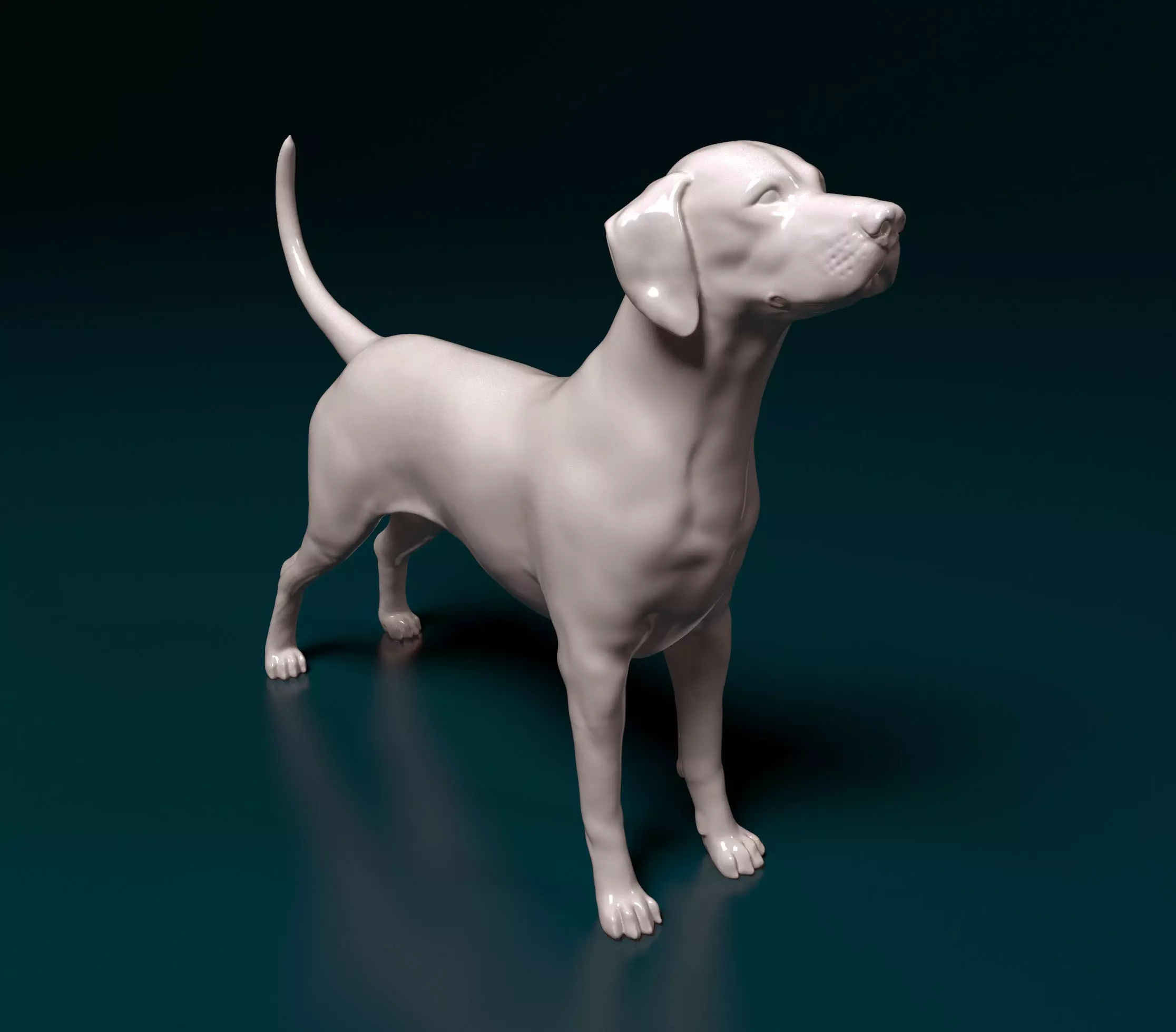 Dalmatian dog 3D print model_0