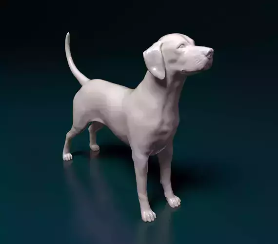 Dalmatian dog 3D print model
