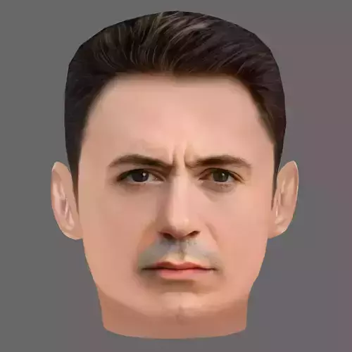  Robert Downey Jr Head - Low poly head for game