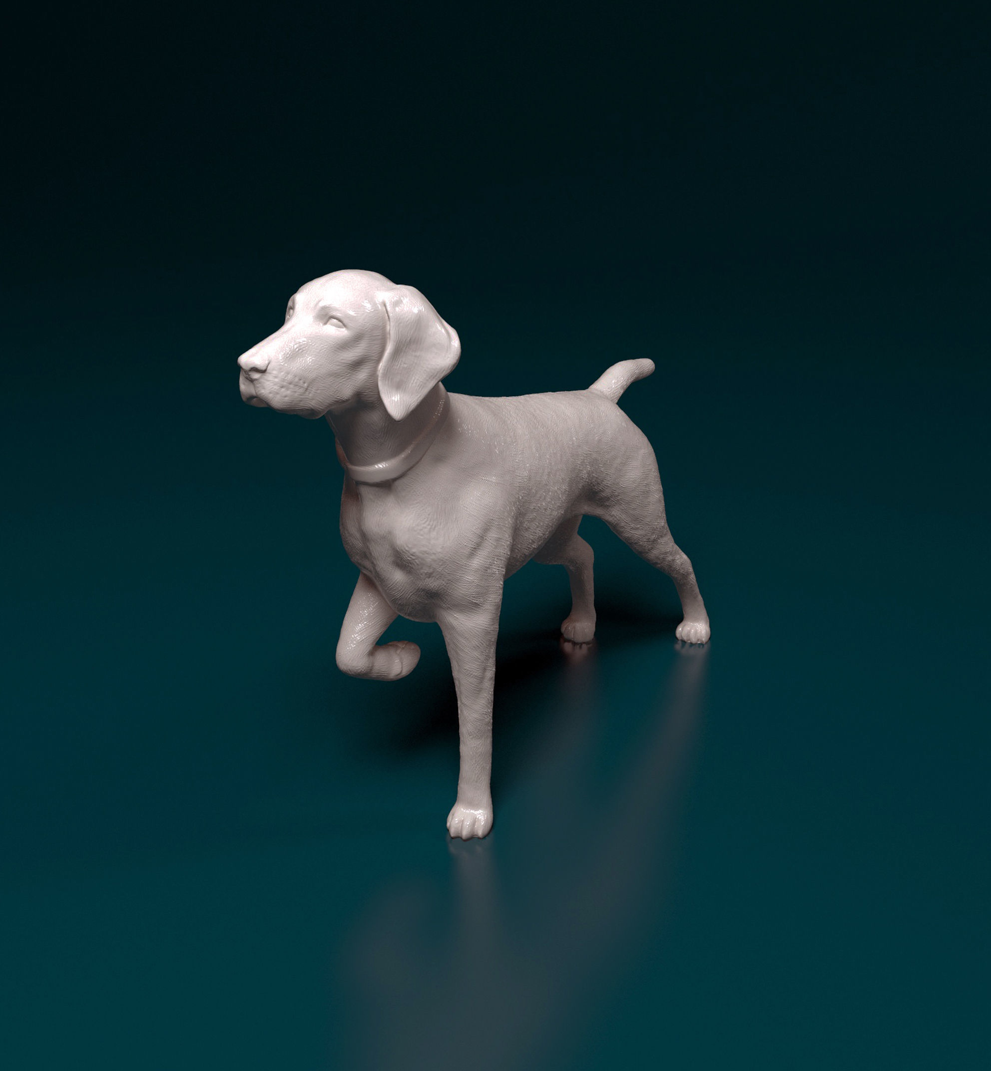 Deutsch Kurzhaar 3D print model_6