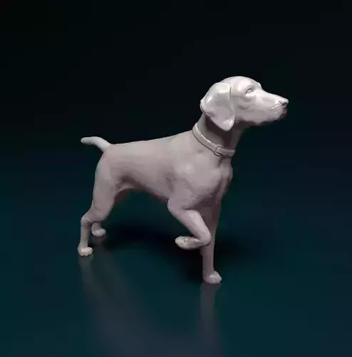 Deutsch Kurzhaar 3D print model