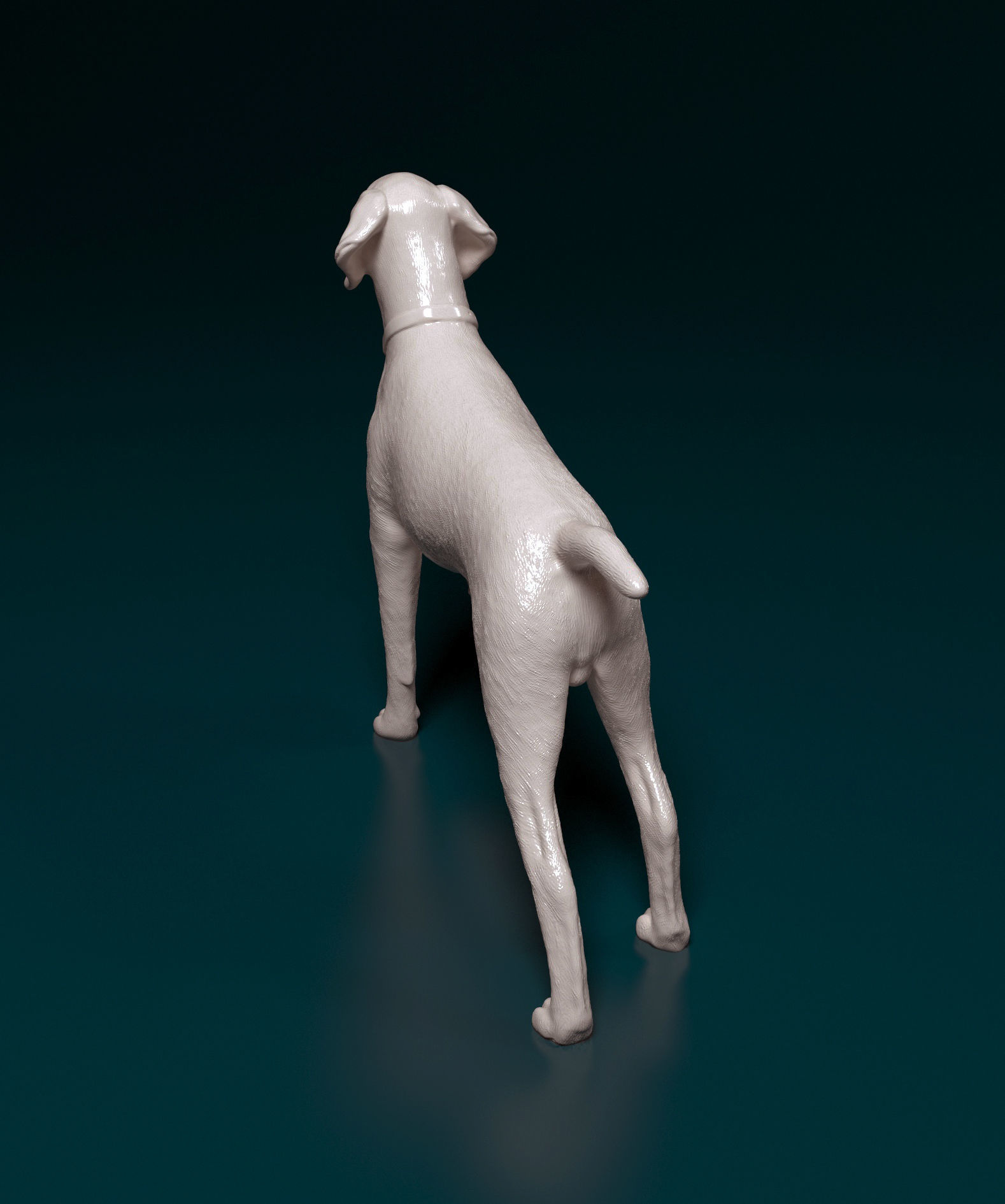 Deutsch Kurzhaar 3D print model_4