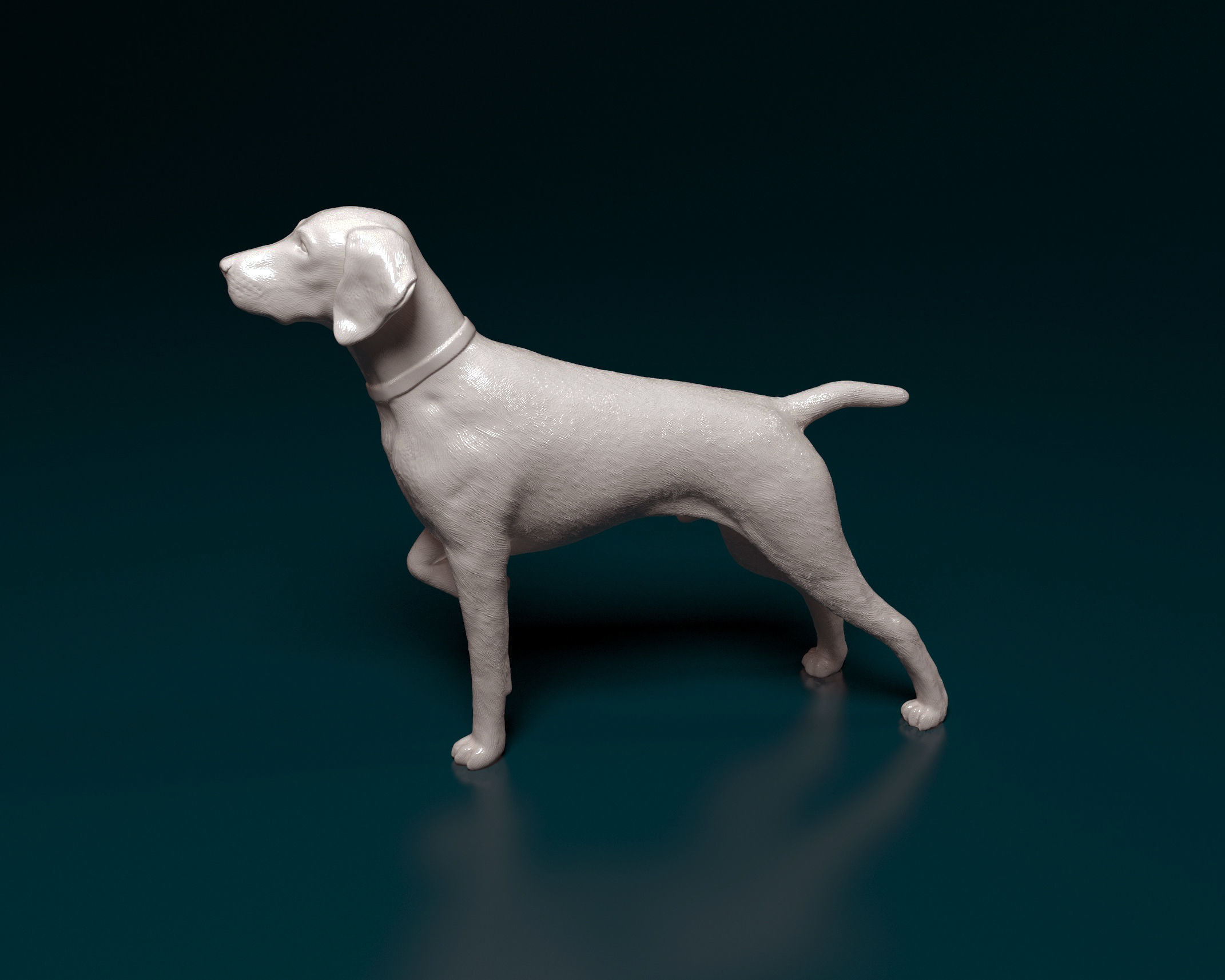 Deutsch Kurzhaar 3D print model_5