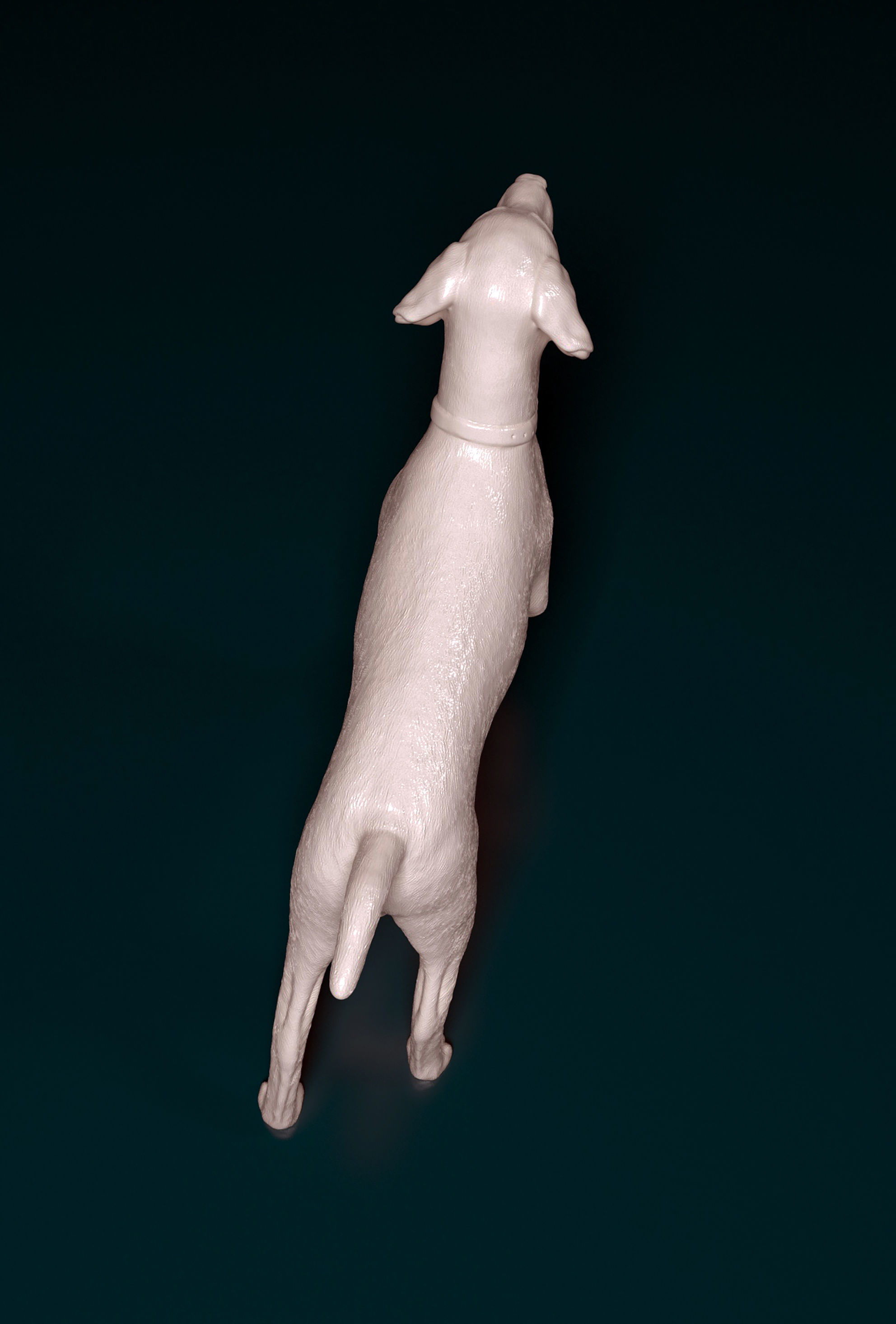 Deutsch Kurzhaar 3D print model_3