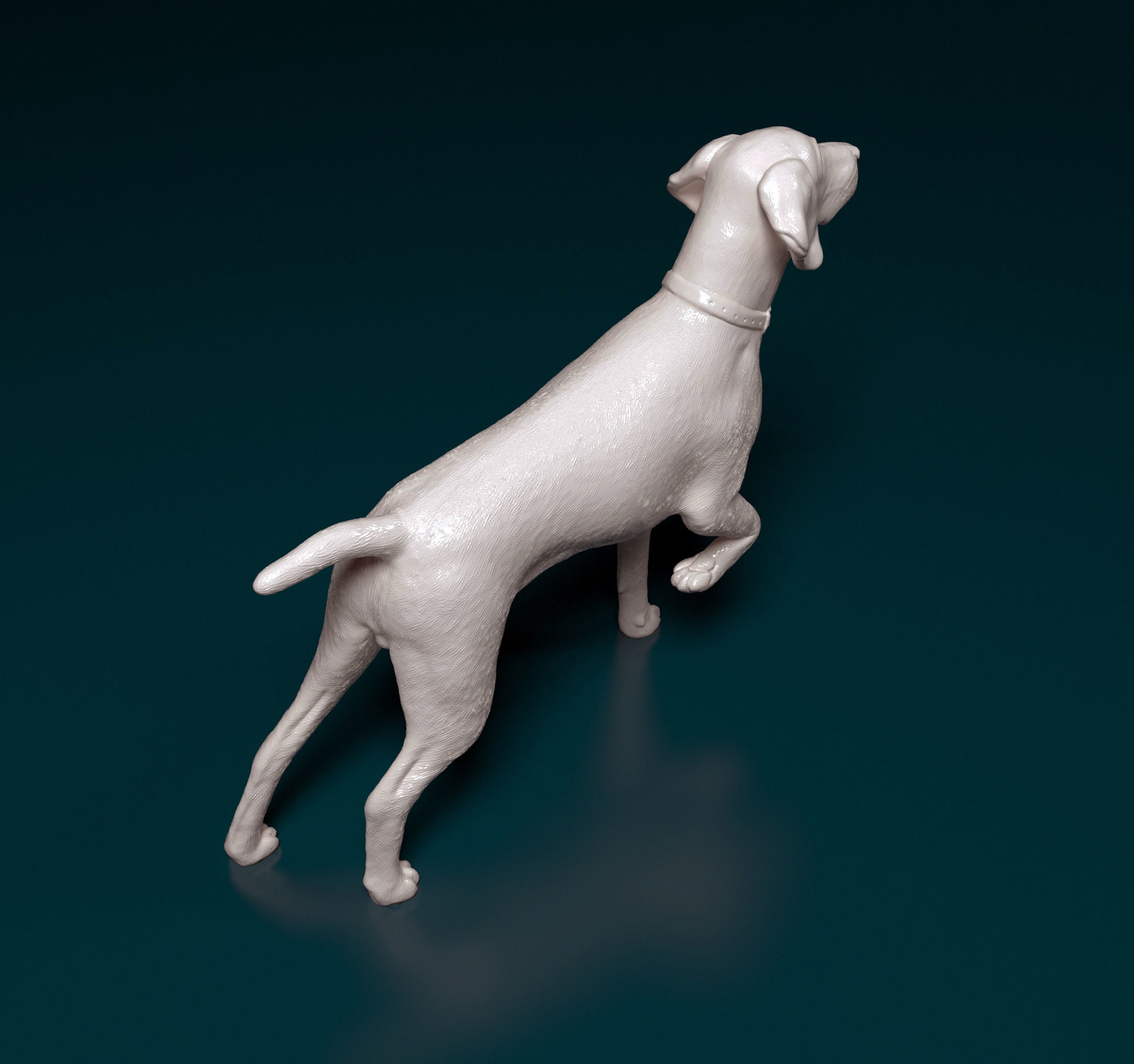 Deutsch Kurzhaar 3D print model_2