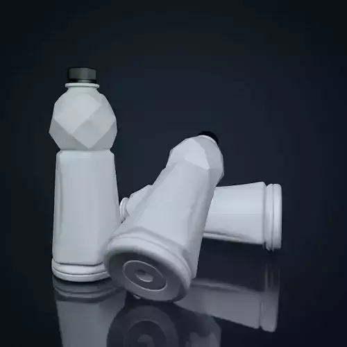 Container plastic bottle