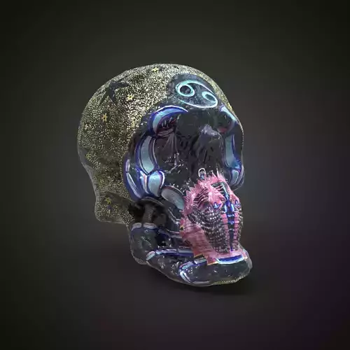 cancer zodiac scull