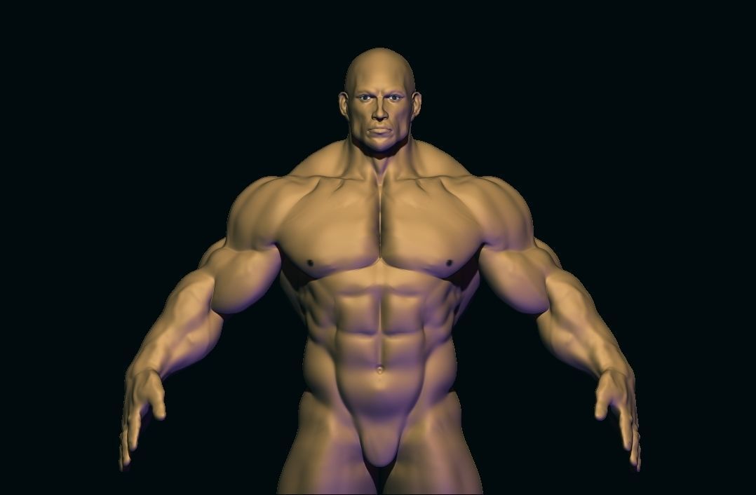 bodybuilder base mesh Low-poly 3D model_11