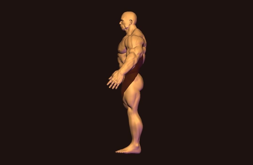 bodybuilder base mesh Low-poly 3D model_10