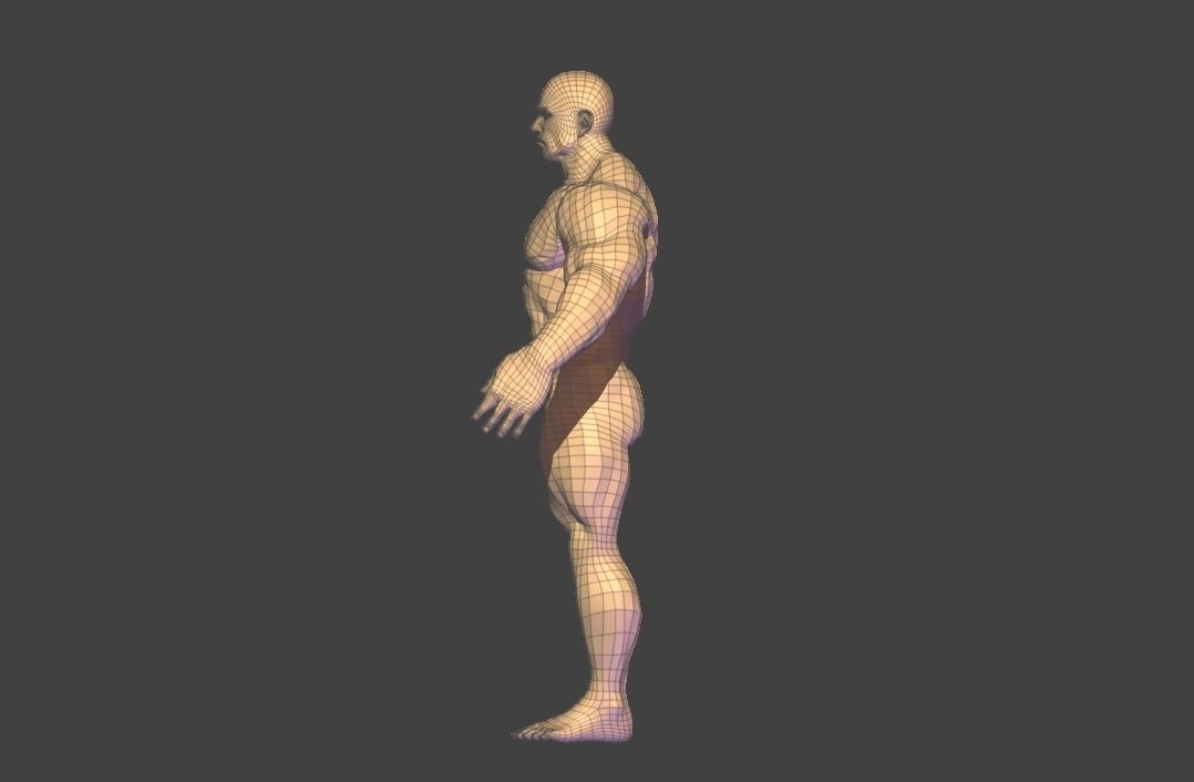 bodybuilder base mesh Low-poly 3D model_8