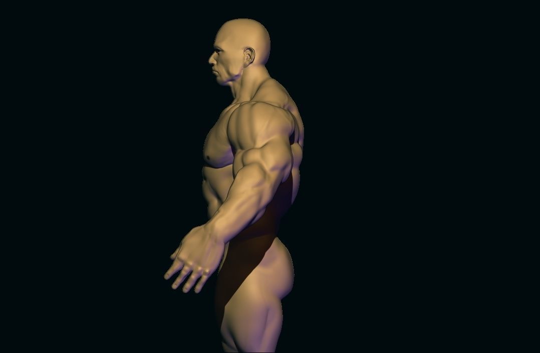 bodybuilder base mesh Low-poly 3D model_9