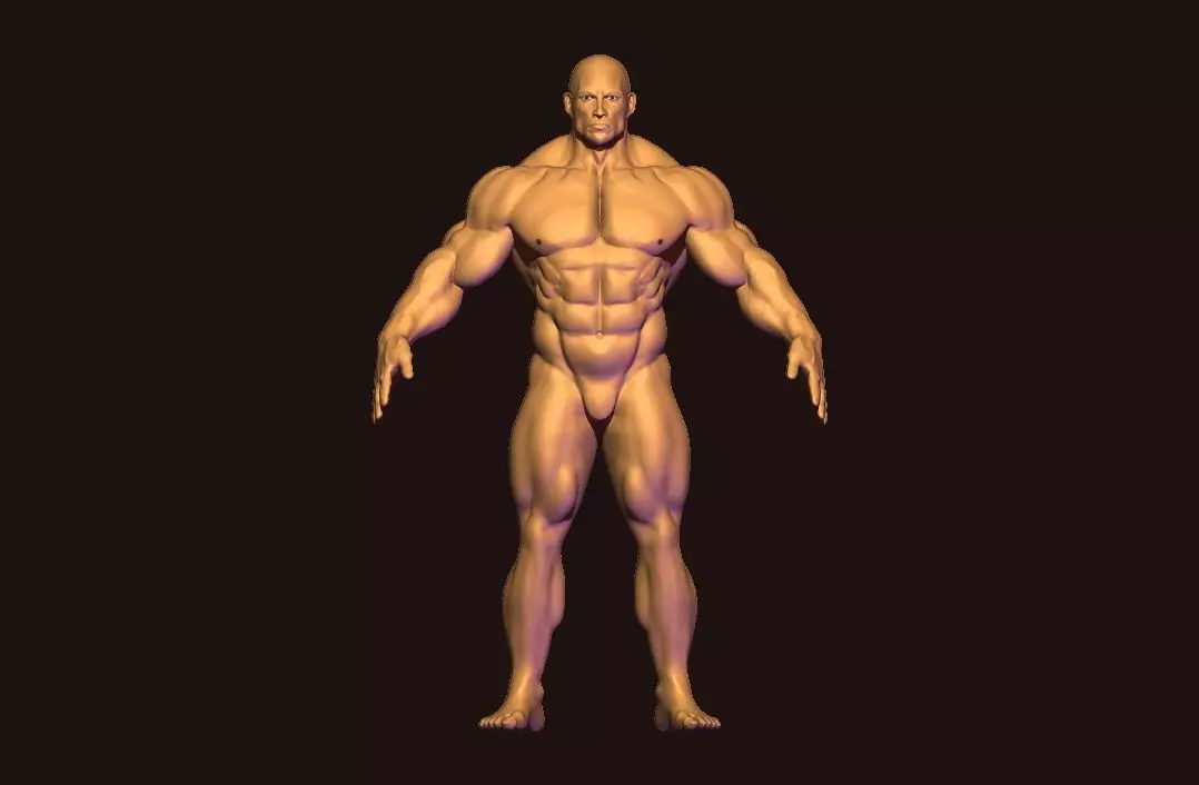 bodybuilder base mesh Low-poly 3D model_0
