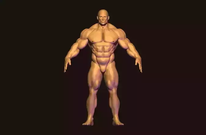 bodybuilder base mesh  Low-poly 3D model