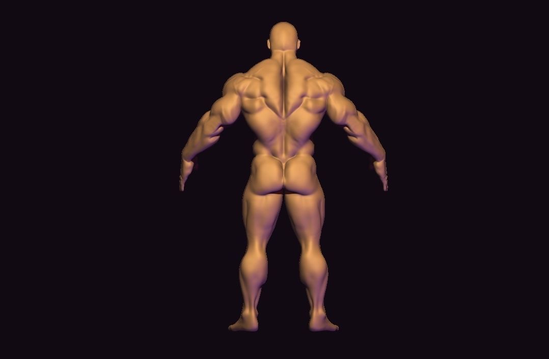 bodybuilder base mesh Low-poly 3D model_4