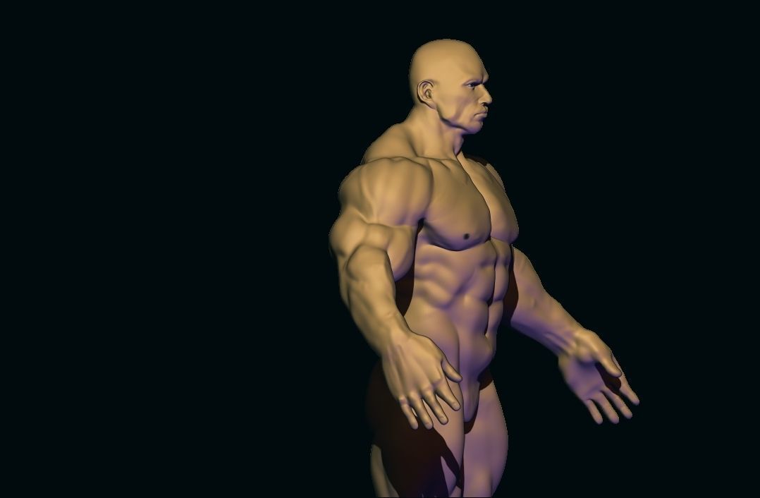 bodybuilder base mesh Low-poly 3D model_2
