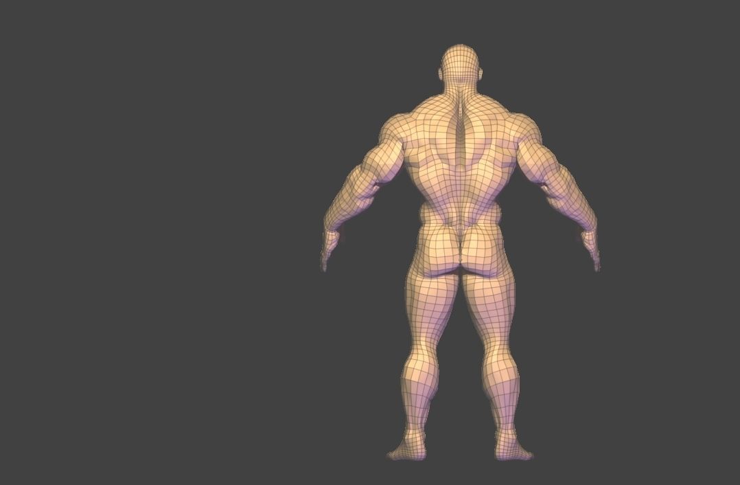 bodybuilder base mesh Low-poly 3D model_6