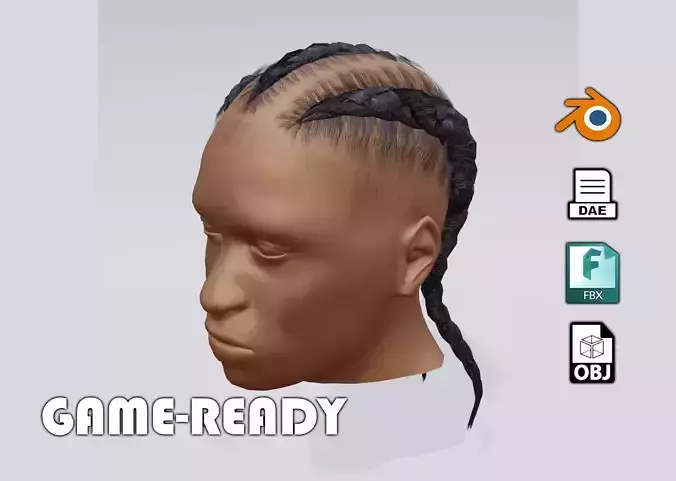 3d male afro braided hair