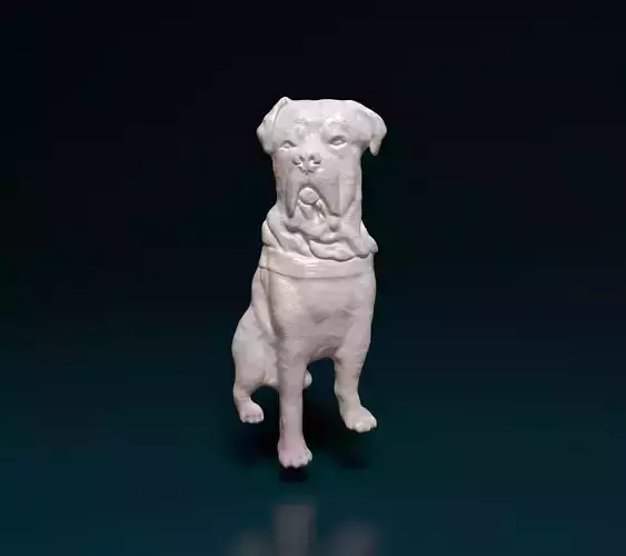 Dog Bas relief