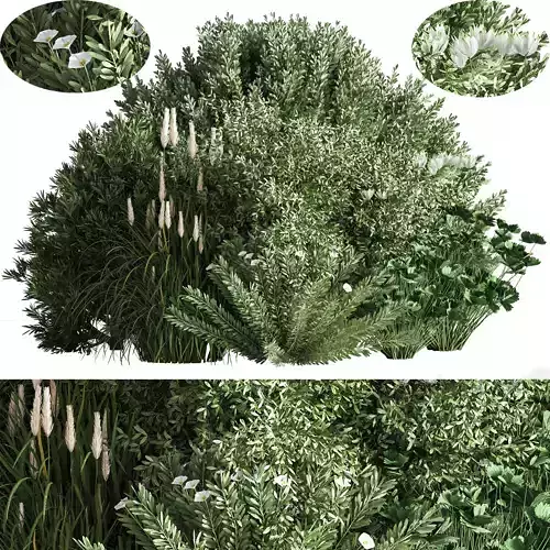 Bush05 shrubs and grasses - shrubs and grasses