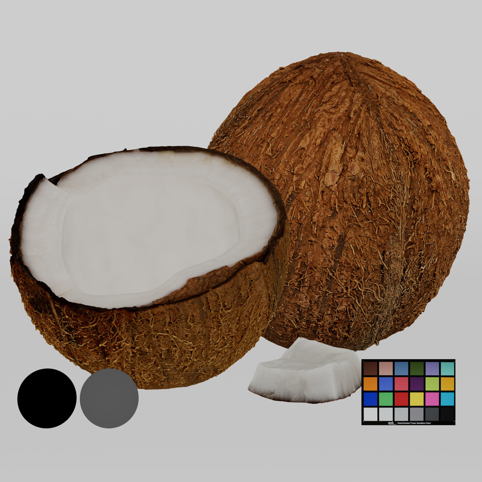 Coconuts 3D model_2