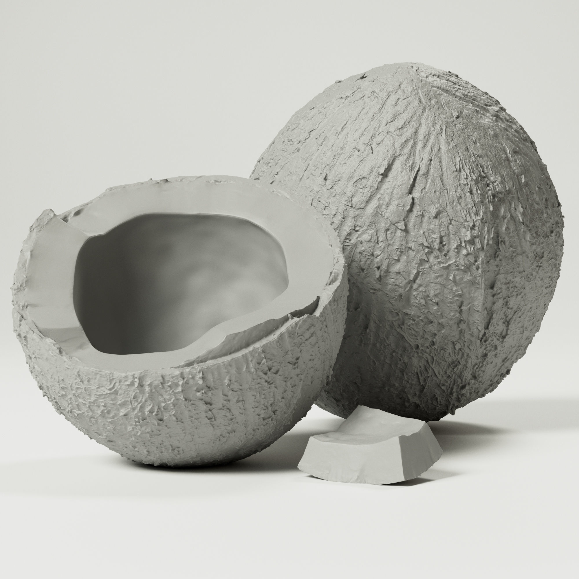 Coconuts 3D model_1